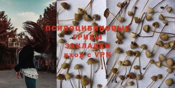 МДПВ Богородицк