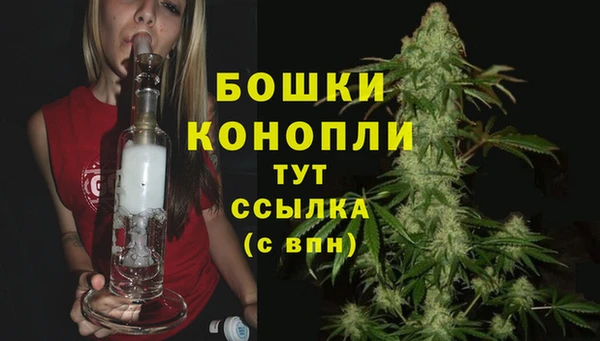 МДПВ Богородицк