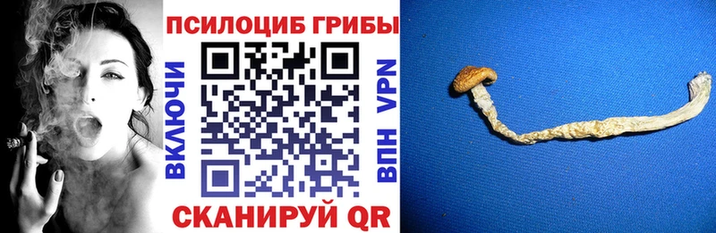 Галлюциногенные грибы мухоморы  Горно-Алтайск 